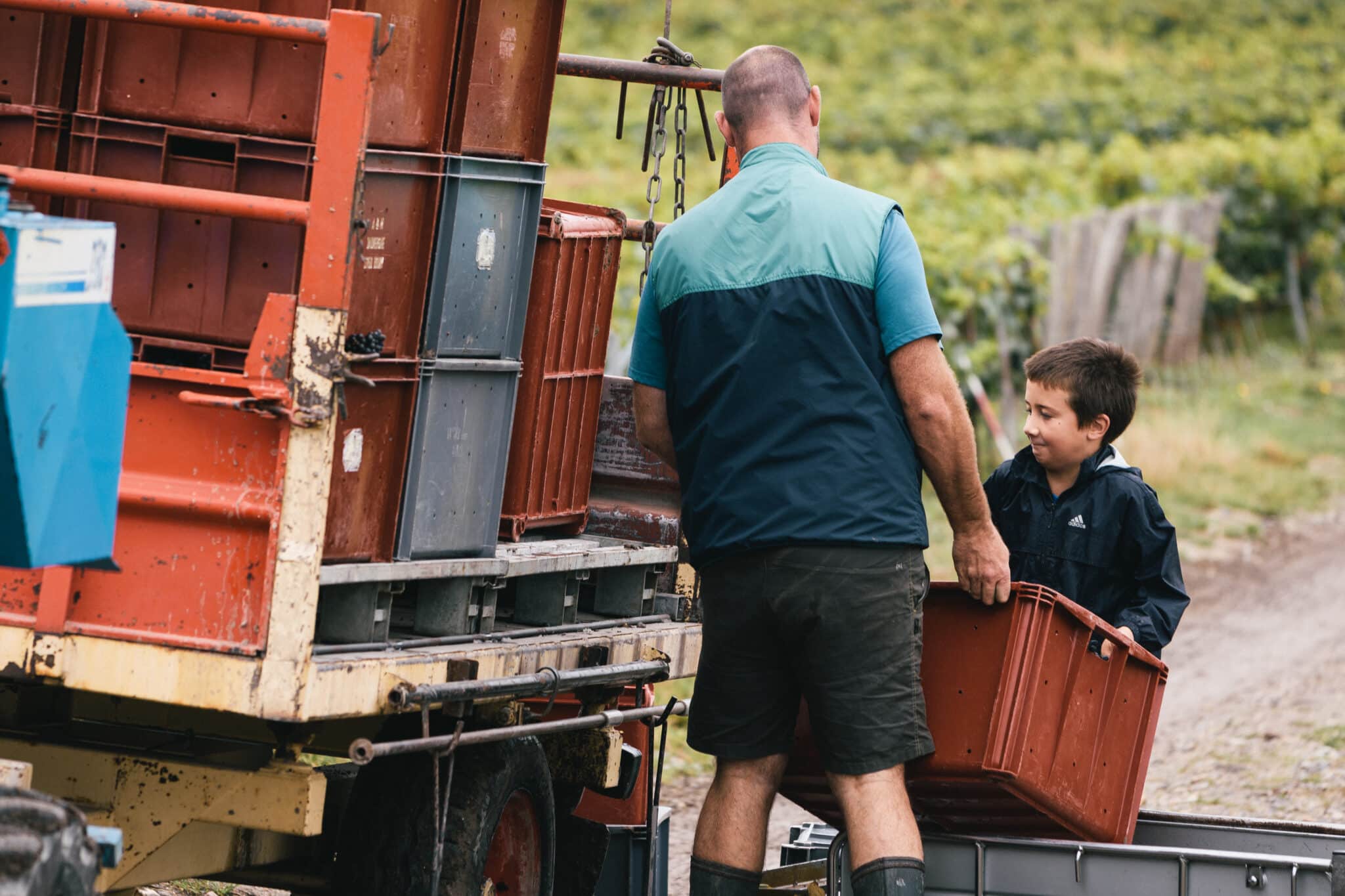 Vendanges 2021 dans le domaine du Champagne Jean Plener
