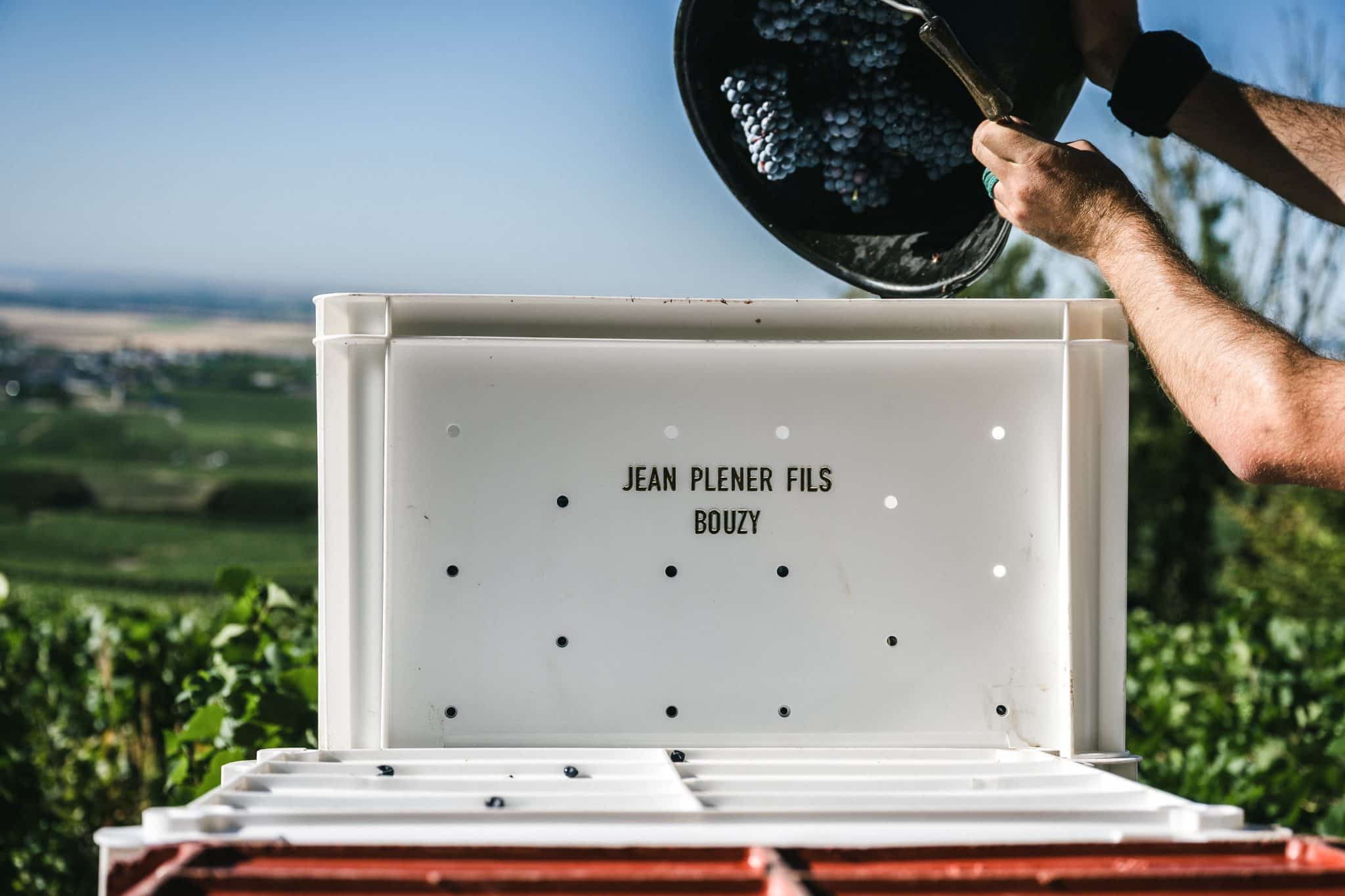 stamp blanc se faire remplir par un seau avec bouzy en flou tout au fond